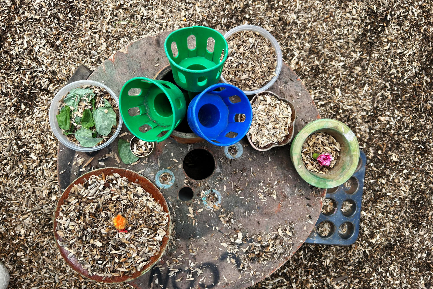 A photograph of an assortment of containers filled with mulch and flowers.